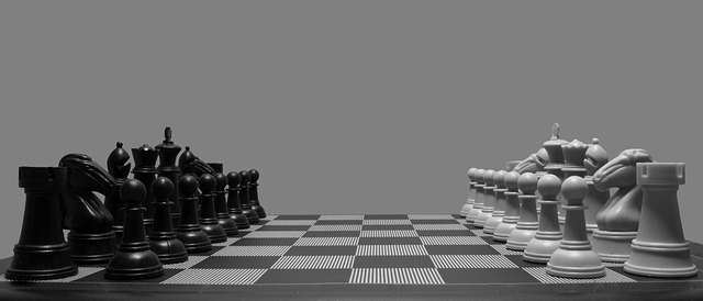šachy - start
