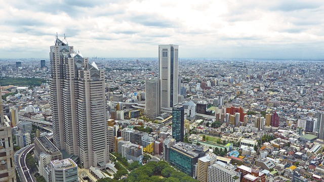 panorama Tokia